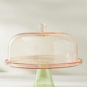 Glass cake stand with dome cover-AFGLASS